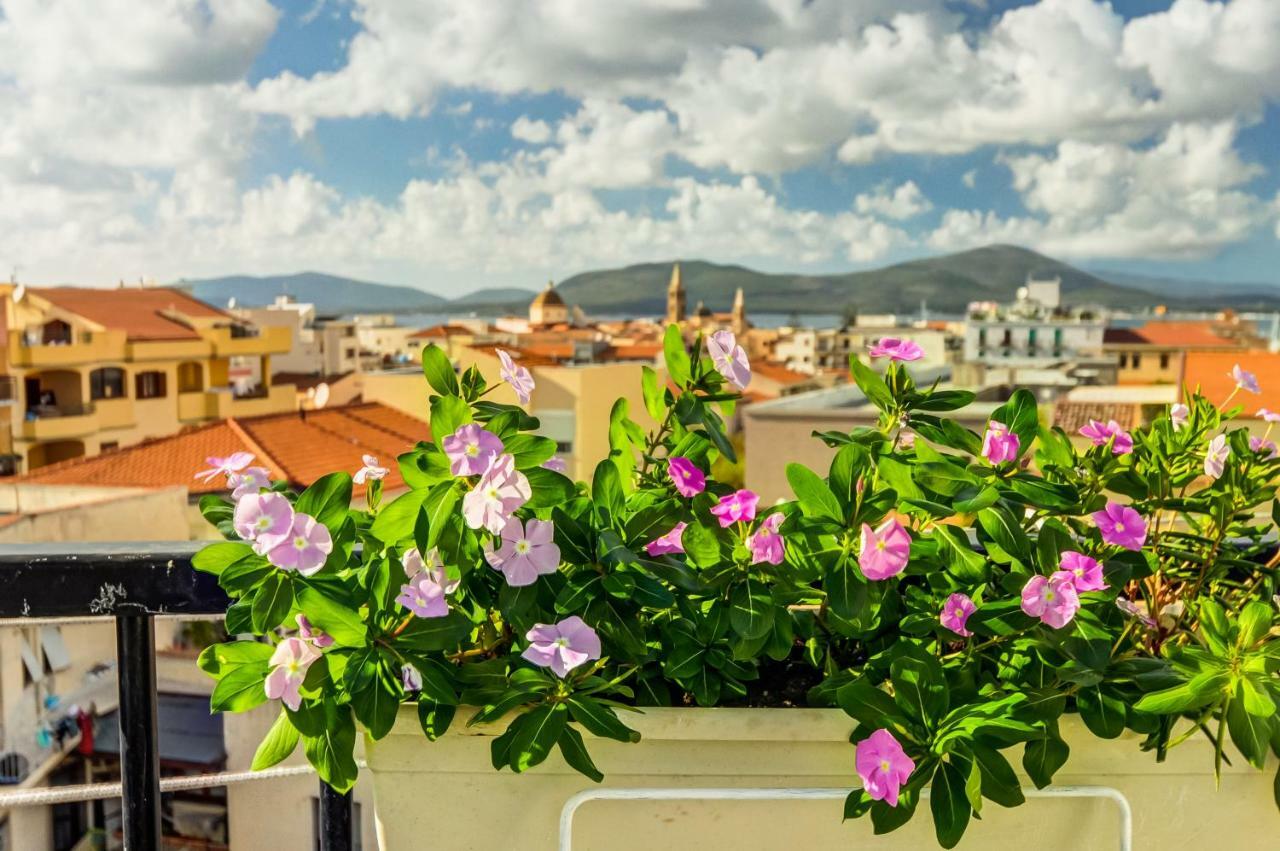 Roof Garden Bed & Breakfast
